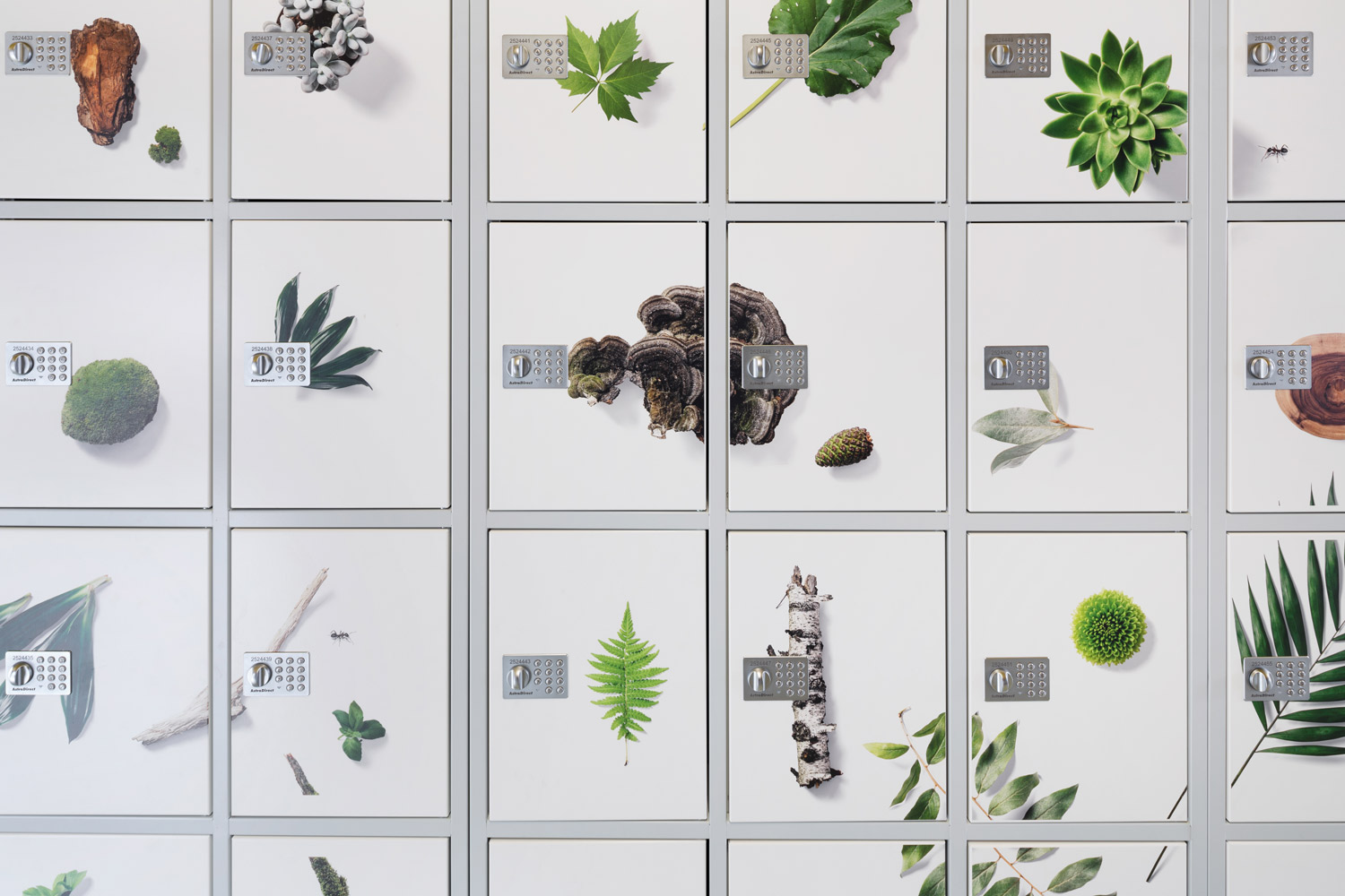 astradirect Schulschließfächer Schutzbrief, Grimmelhausen Gymnasium Offenburg Die astradirect Schulschließfächer Versicherung, im Grimmelhausen Gymnasium in Offenburg